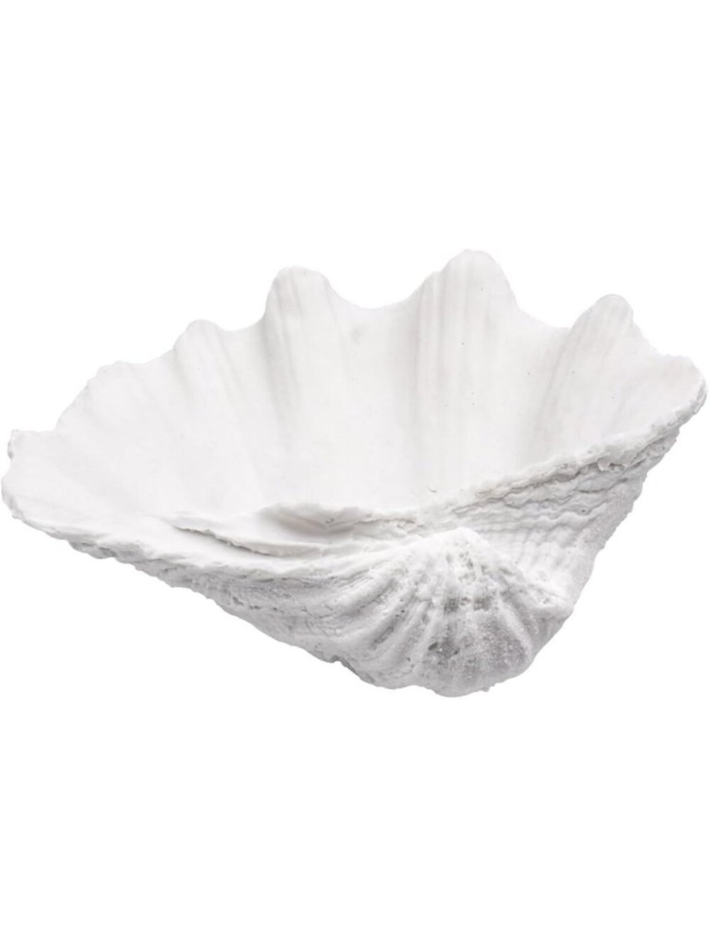Medium White Scalloped Clam Shell Bowl - Nautical Coastal Decor for Beach House